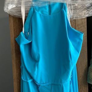 Bridesmaid Dress - David’s Bridal Malibu F20014, Size 18